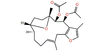 2,3-Diacetyl pachyclavulariadiol